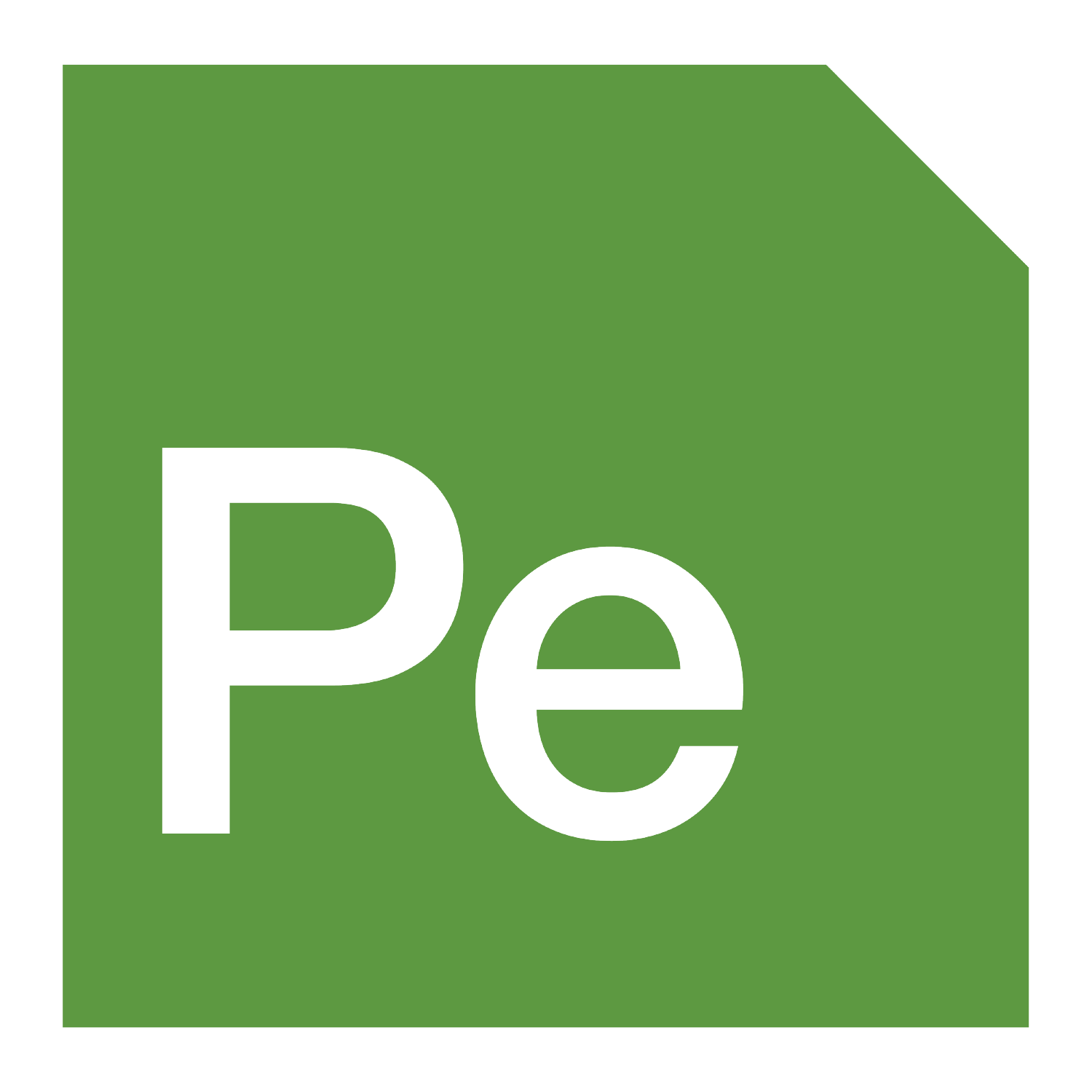 PE_Logo Icon-01 PE_Logo Icon-01