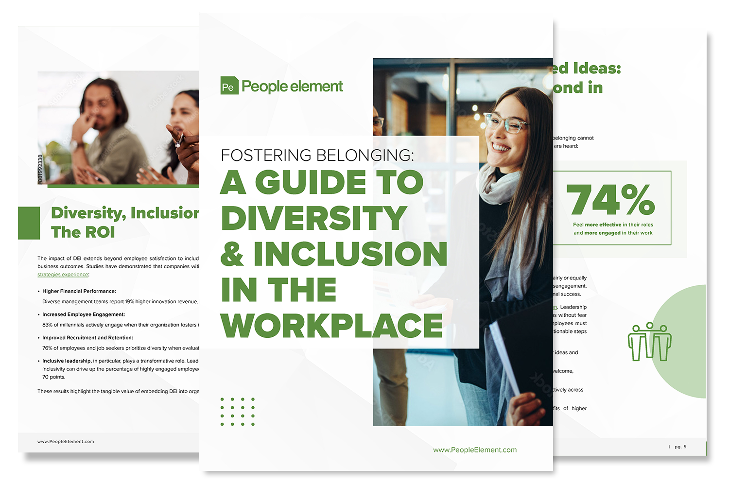 DEI guide covers