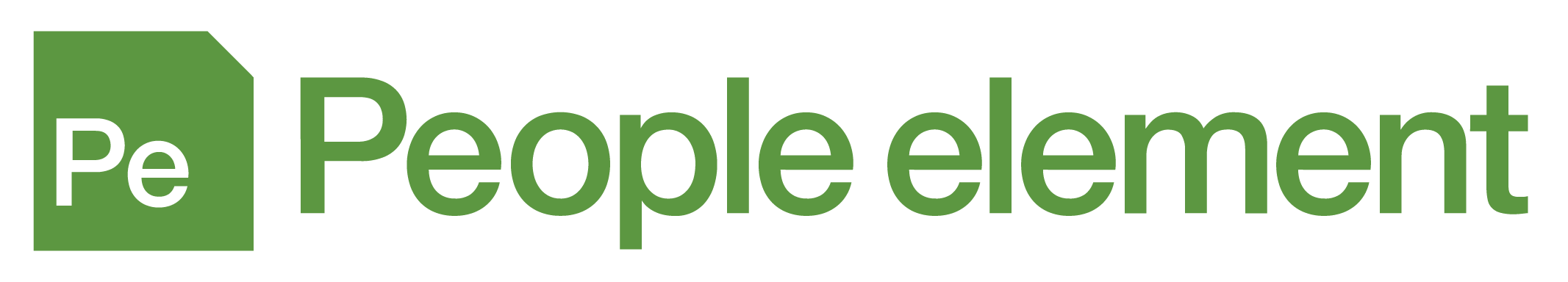 PE_Logo Horizontal