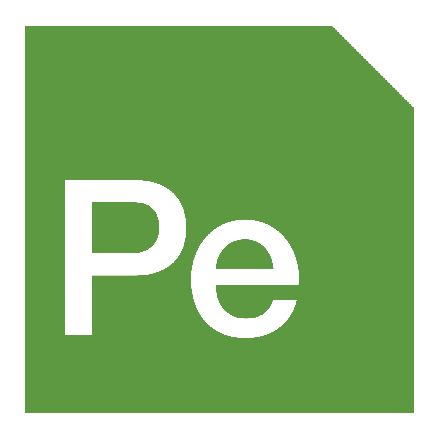 PE_Logo Icon-01